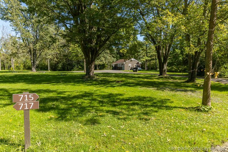 Campsite Photo of Site 715 at Cayuga Lake State Park, New York - Looking at Site from Road Sign Visible