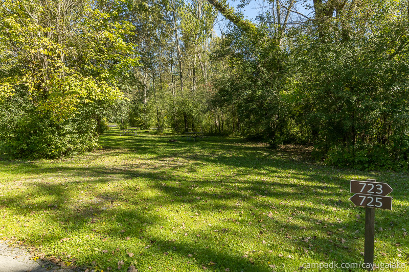 Campsite Photo of Site 725 at Cayuga Lake State Park, New York - Looking at Site from Road Sign Visible