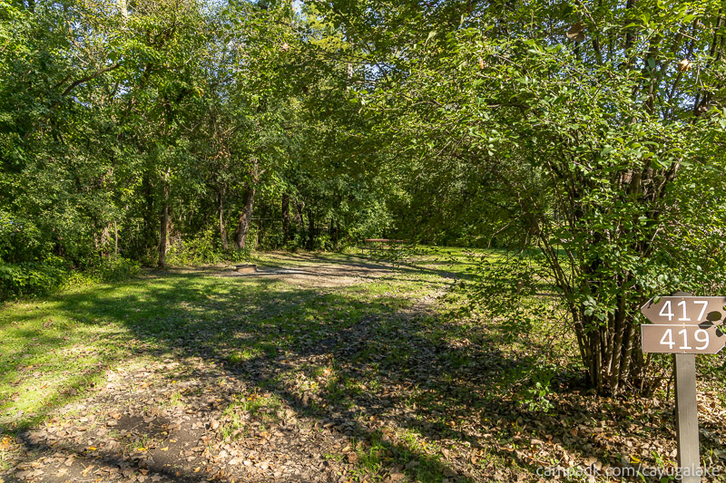 Campsite Photo of Site 417 at Cayuga Lake State Park, New York - Looking at Site from Road Sign Visible
