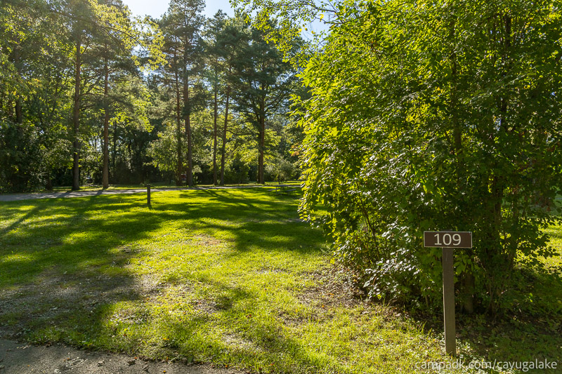 Campsite Photo of Site 109 at Cayuga Lake State Park, New York - Looking at Site from Road Sign Visible