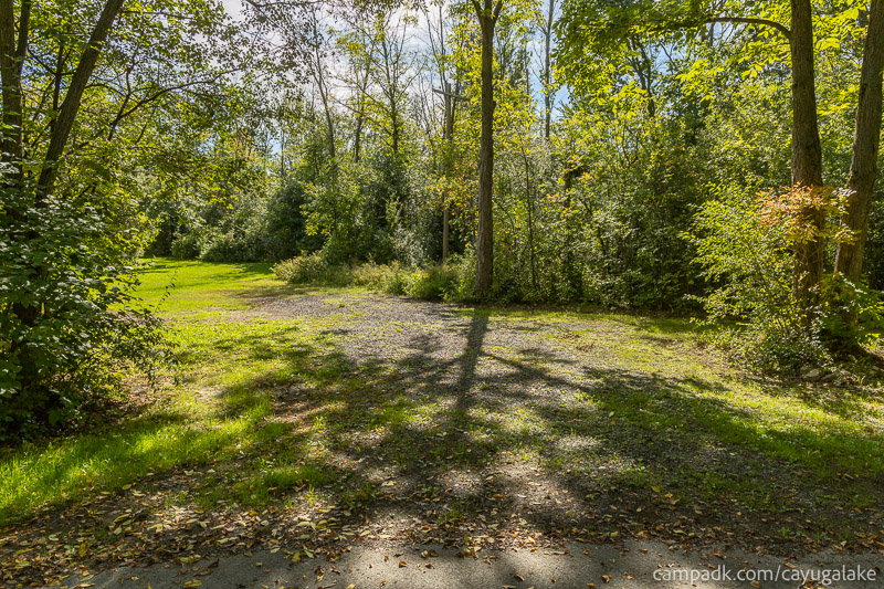 Campsite Photo of Site 912 at Cayuga Lake State Park, New York - Looking at Site from Road