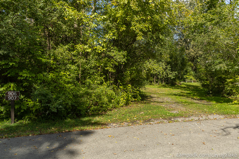 Campsite Photo of Site 907 at Cayuga Lake State Park, New York - Looking at Site from Road Sign Visible