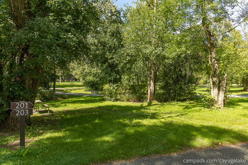 Campsite Photo of Site 201 at Cayuga Lake State Park, New York - Looking at Site from Road Sign Visible