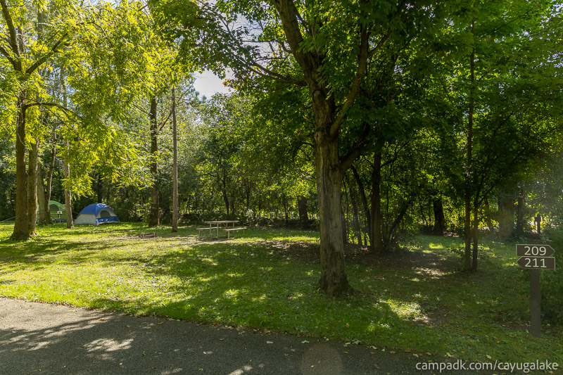 Campsite Photo of Site 211 at Cayuga Lake State Park, New York - Looking at Site from Road Sign Visible