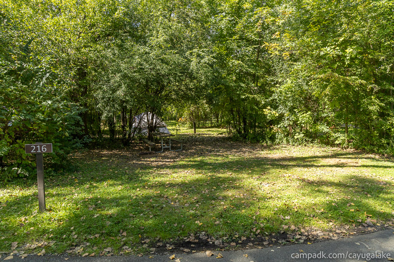 Campsite Photo of Site 216 at Cayuga Lake State Park, New York - Looking at Site from Road Sign Visible