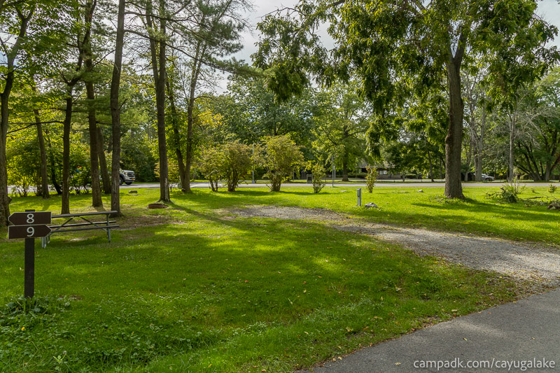 Campsite Photo of Site 9 at Cayuga Lake State Park, New York - Looking at Site from Road Sign Visible