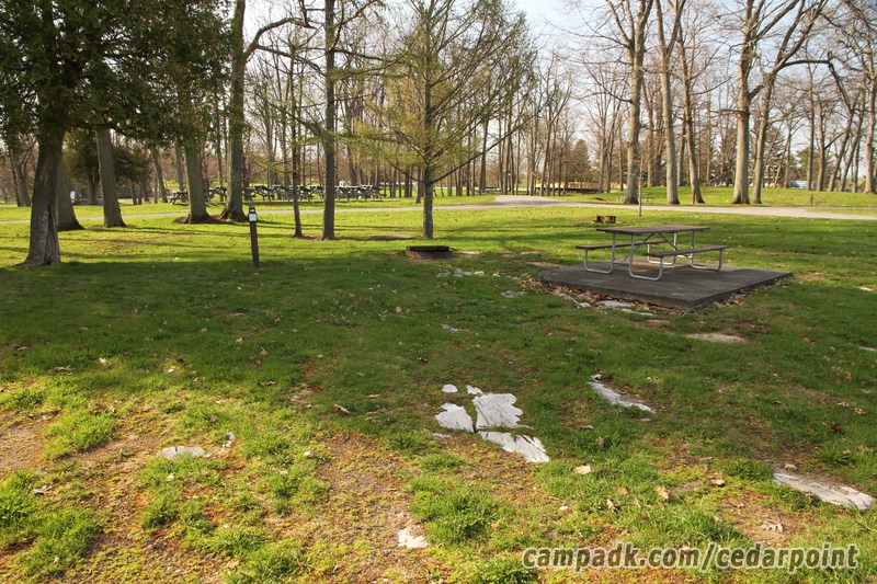 Campsite Photo of Site 25 at Cedar Point State Park, New York - Looking at Site from Road Sign Visible