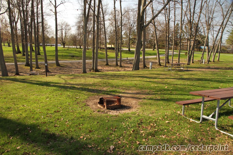 Campsite Photo of Site 55 at Cedar Point State Park, New York - Looking at Site from Road Sign Visible