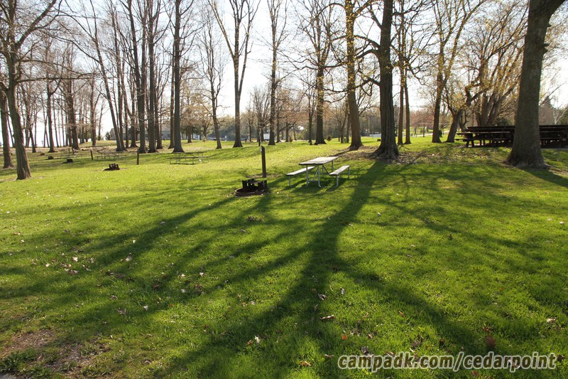 Campsite Photo of Site 71 at Cedar Point State Park, New York - Looking at Site from Road Sign Visible