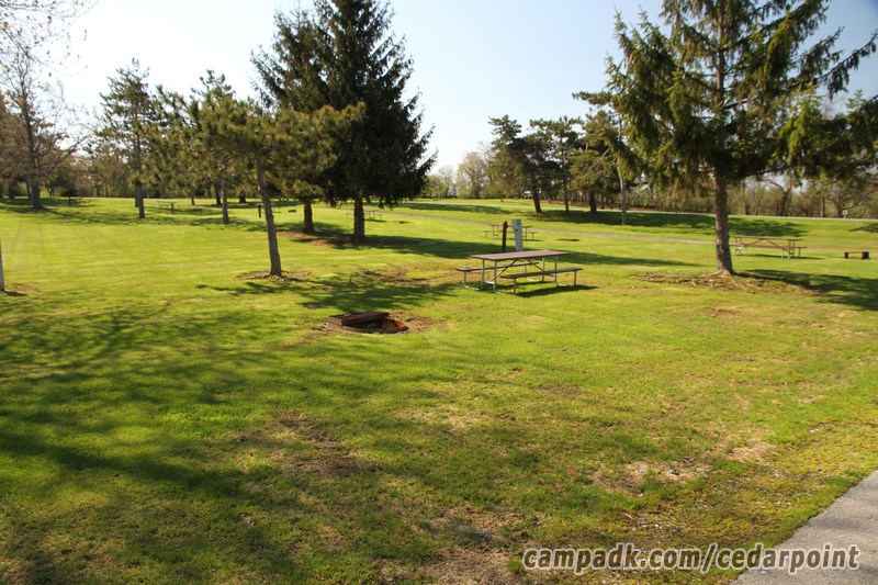 Campsite Photo of Site 94 at Cedar Point State Park, New York - Looking at Site from Road Sign Visible