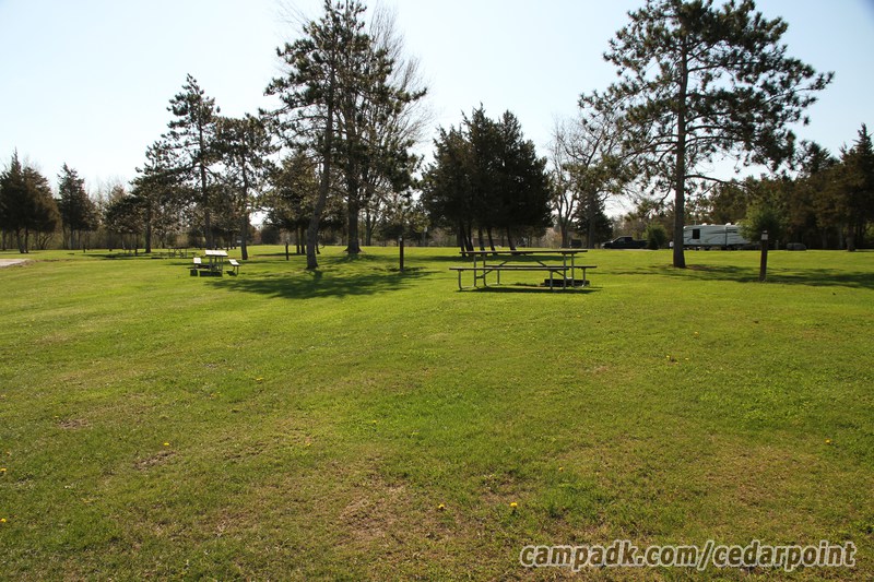 Campsite Photo of Site 124 at Cedar Point State Park, New York - Looking at Site from Road Sign Visible