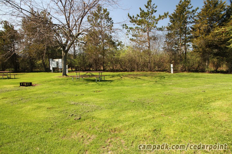 Campsite Photo of Site 169 at Cedar Point State Park, New York - Looking at Site from Road Sign Visible