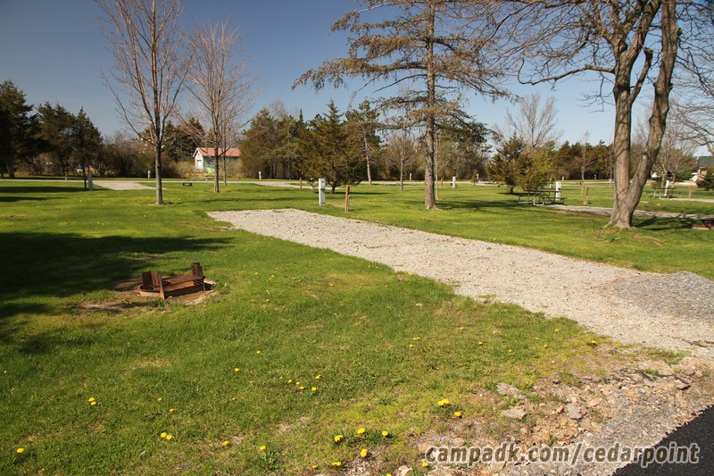 Campsite Photo of Site 149 at Cedar Point State Park, New York - Looking at Site from Road Sign Visible