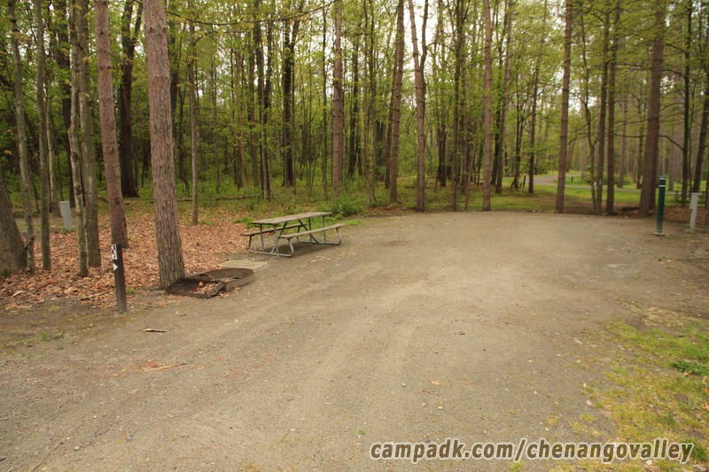 Campsite Photo of Site 98 at Chenango Valley State Park, New York - Looking at Site from Road Sign Visible