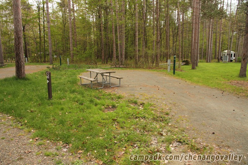Campsite Photo of Site 113 at Chenango Valley State Park, New York - Looking at Site from Road Sign Visible