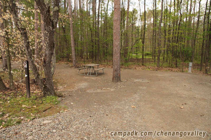 Campsite Photo of Site 148 at Chenango Valley State Park, New York - Looking at Site from Road Sign Visible