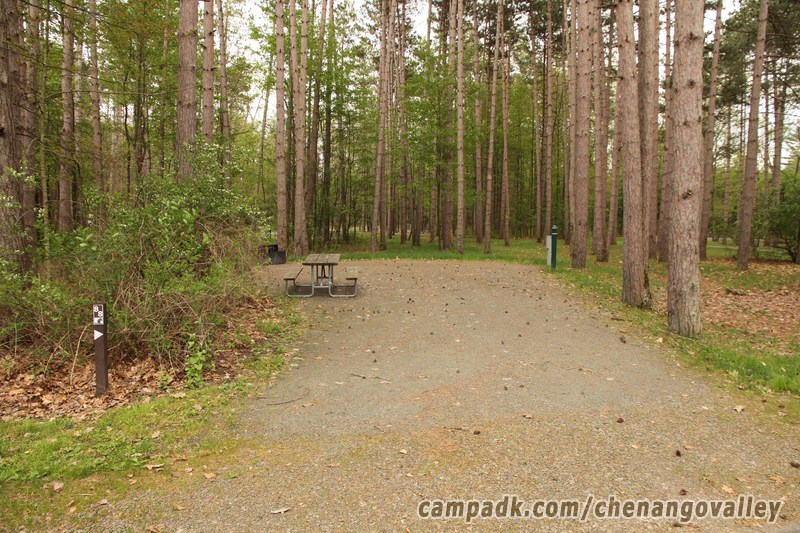 Campsite Photo of Site 88 at Chenango Valley State Park, New York - Looking at Site from Road Sign Visible