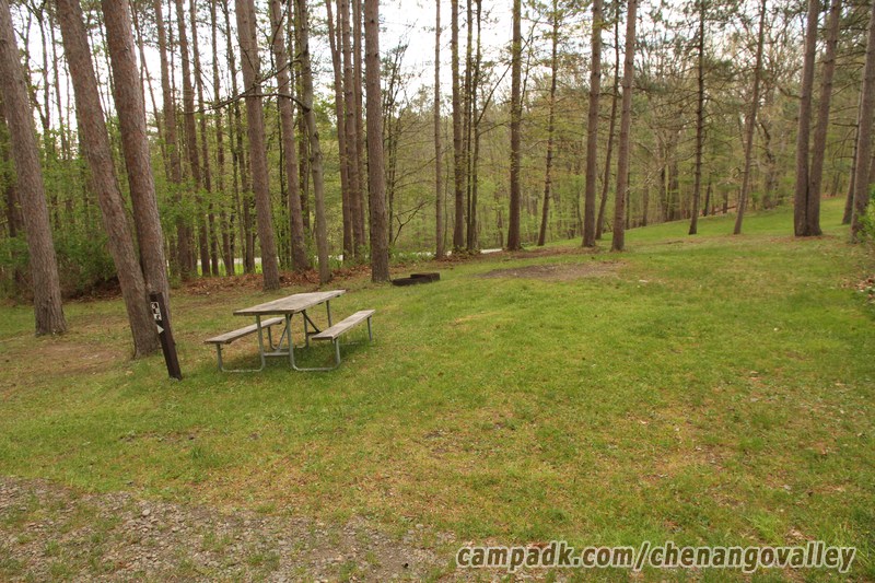 Campsite Photo of Site 68 at Chenango Valley State Park, New York - Looking at Site from Road Sign Visible