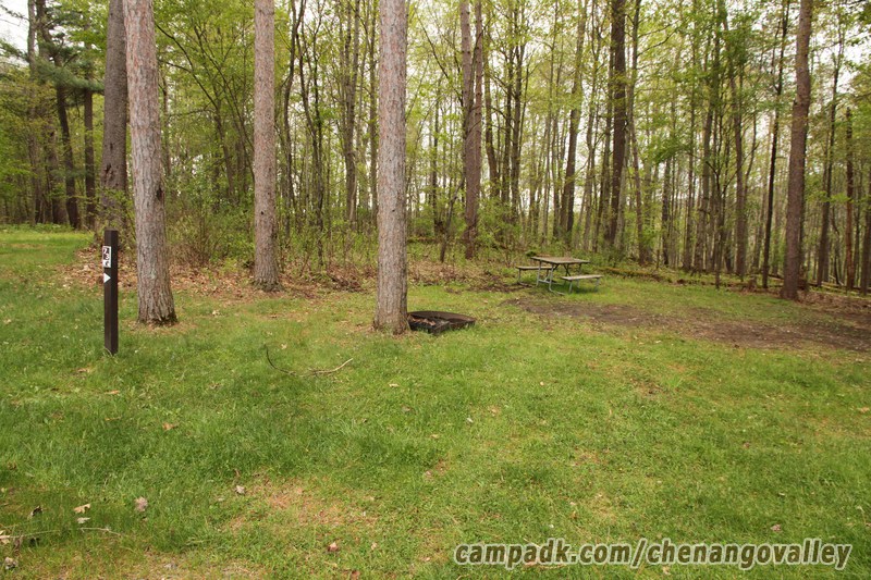 Campsite Photo of Site 73 at Chenango Valley State Park, New York - Looking at Site from Road Sign Visible