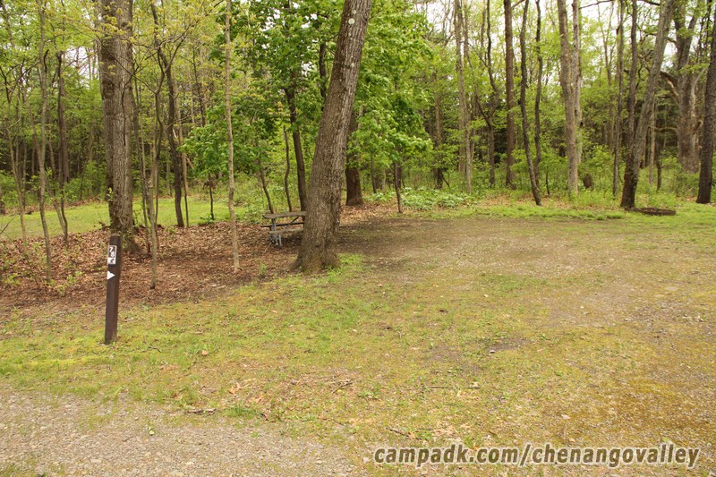 Campsite Photo of Site 78 at Chenango Valley State Park, New York - Looking at Site from Road Sign Visible