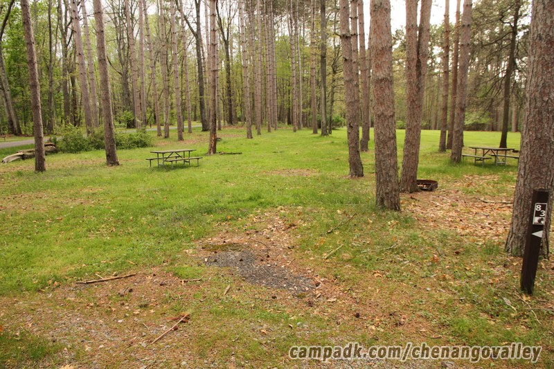 Campsite Photo of Site 83 at Chenango Valley State Park, New York - Looking at Site from Road Sign Visible