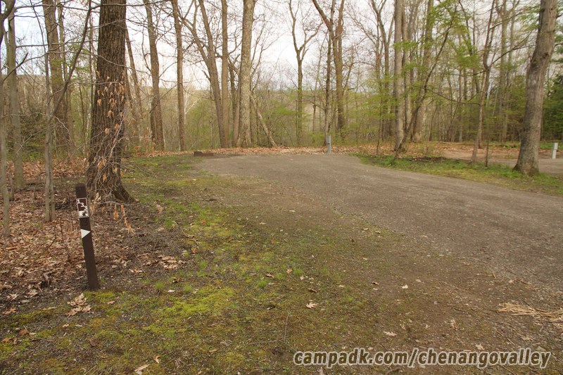 Campsite Photo of Site 133 at Chenango Valley State Park, New York - Looking at Site from Road Sign Visible