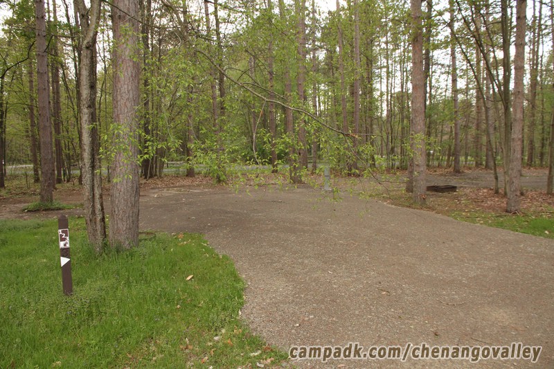 Campsite Photo of Site 123 at Chenango Valley State Park, New York - Looking at Site from Road Sign Visible