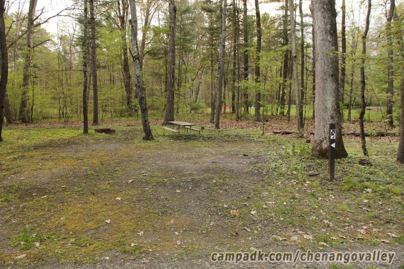 Campsite Photo of Site 173 at Chenango Valley State Park, New York - Looking at Site from Road Sign Visible