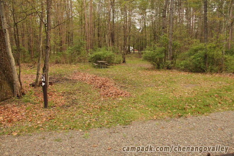 Campsite Photo of Site 153 at Chenango Valley State Park, New York - Looking at Site from Road Sign Visible