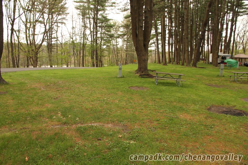 Campsite Photo of Site 193 at Chenango Valley State Park, New York - Looking at Site from Road Sign Visible
