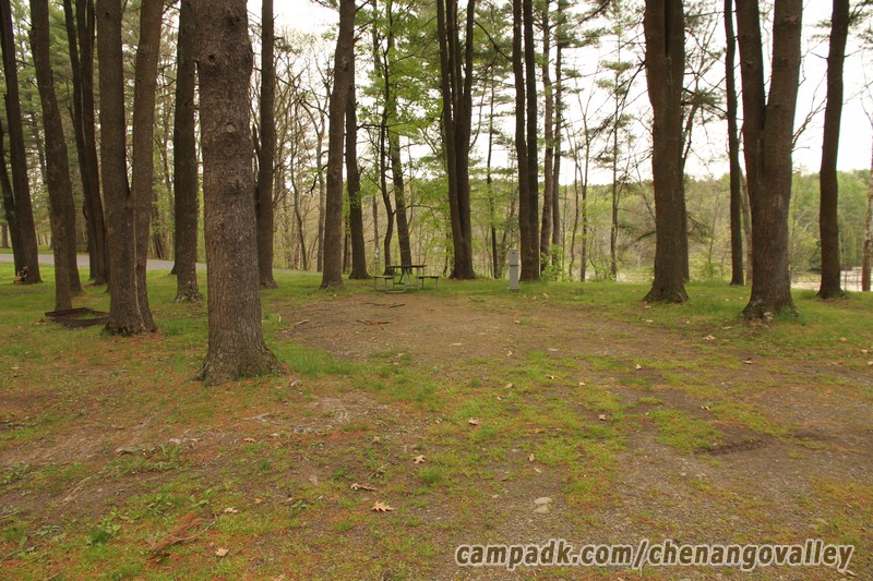 Campsite Photo of Site 198 at Chenango Valley State Park, New York - Looking at Site from Road Sign Visible