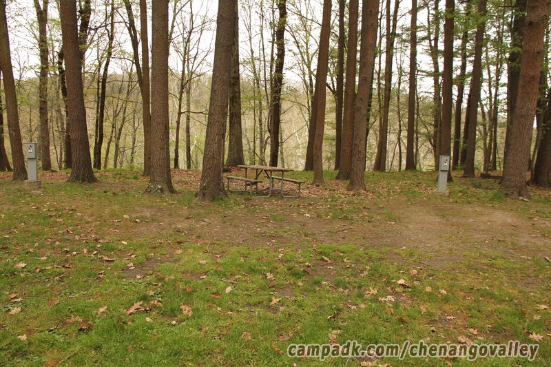 Campsite Photo of Site 203 at Chenango Valley State Park, New York - Looking at Site from Road Sign Visible