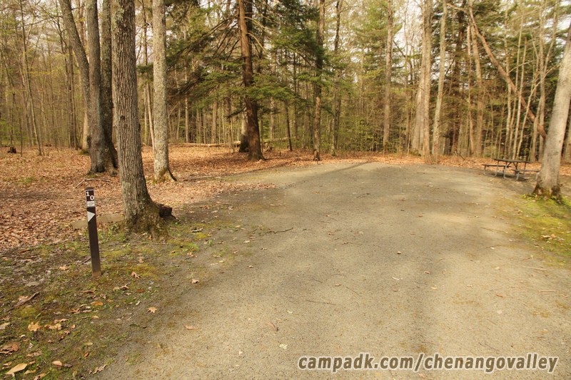 Campsite Photo of Site 10 at Chenango Valley State Park, New York - Looking at Site from Road Sign Visible