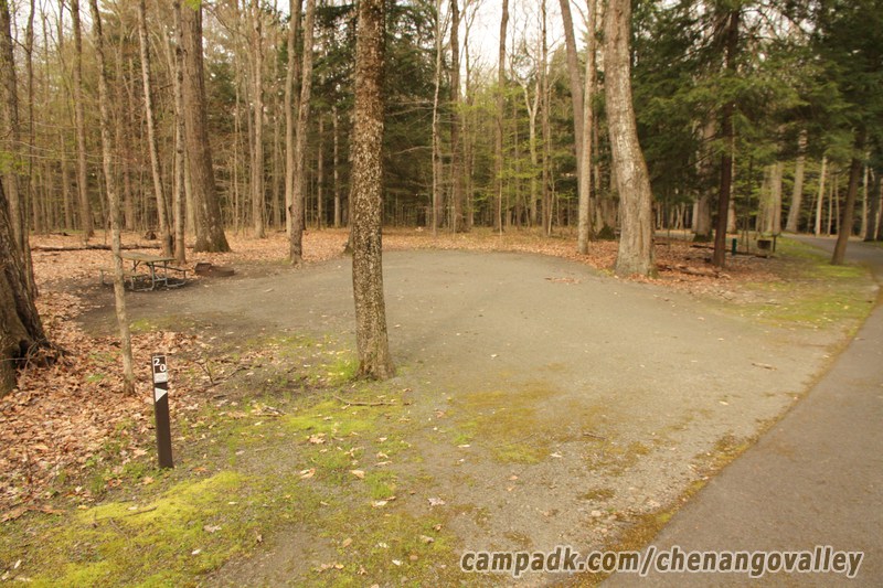 Campsite Photo of Site 20 at Chenango Valley State Park, New York - Looking at Site from Road Sign Visible