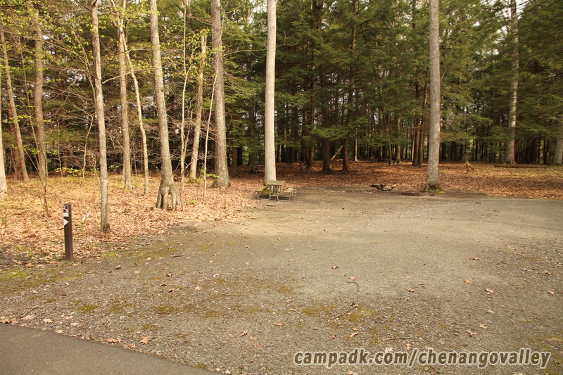 Campsite Photo of Site 25 at Chenango Valley State Park, New York - Looking at Site from Road Sign Visible