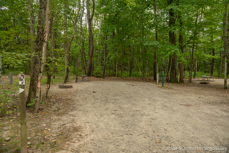 Campsite Photo of Site 103 at Chenango Valley State Park, New York - Looking at Site from Road Sign Visible