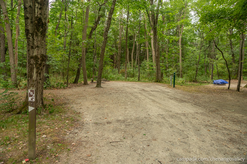 Campsite Photo of Site 107 at Chenango Valley State Park, New York - Looking at Site from Road Sign Visible