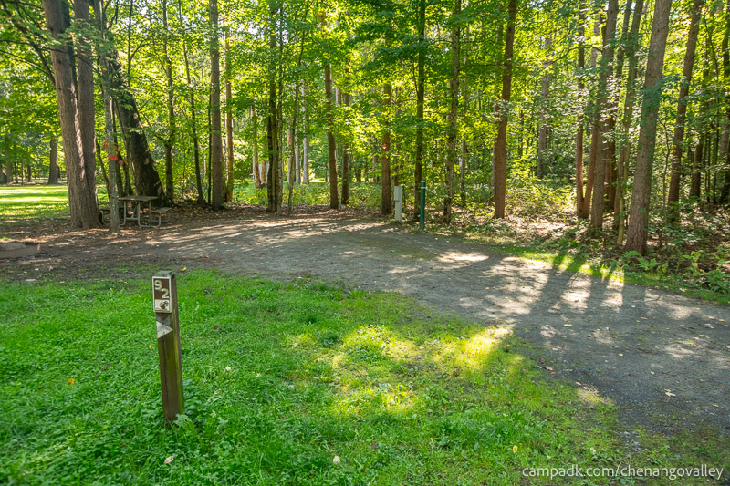 Campsite Photo of Site 92 at Chenango Valley State Park, New York - Looking at Site from Road Sign Visible