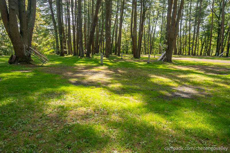 Campsite Photo of Site 194 at Chenango Valley State Park, New York - Looking at Site from Road Sign Visible