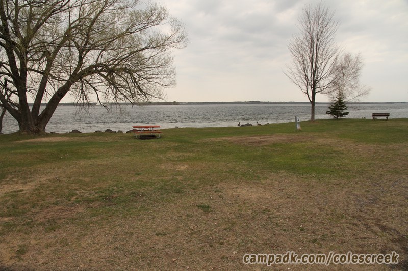 Campsite Photo of Site 92 at Coles Creek State Park, New York - Looking at Site from Road Sign Visible