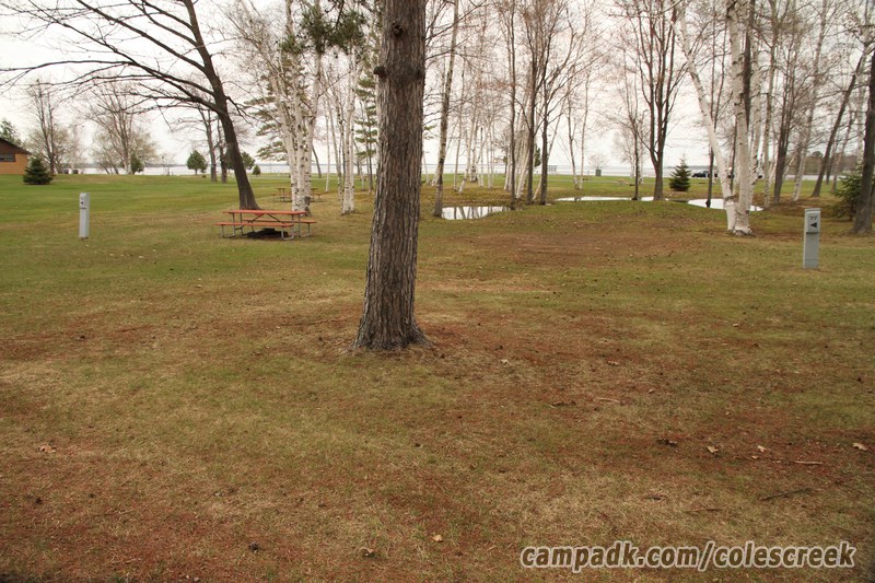 Campsite Photo of Site 77 at Coles Creek State Park, New York - Looking at Site from Road Sign Visible