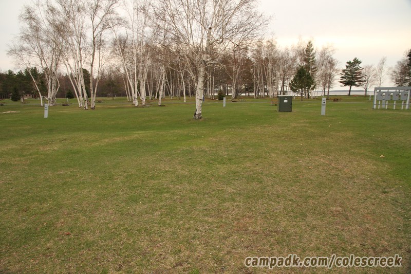 Campsite Photo of Site 103 at Coles Creek State Park, New York - Looking at Site from Road Sign Visible
