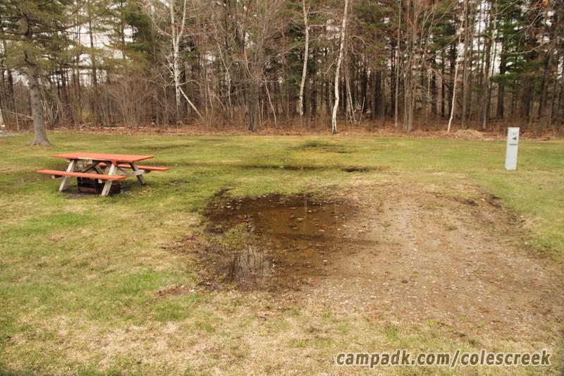Campsite Photo of Site 50 at Coles Creek State Park, New York - Looking at Site from Road Sign Visible