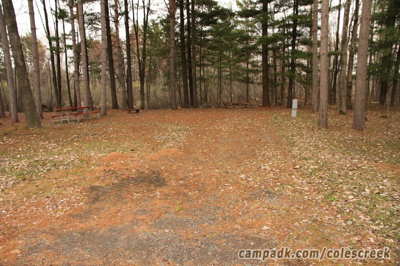 Campsite Photo of Site 236 at Coles Creek State Park, New York - Looking at Site from Road Sign Visible