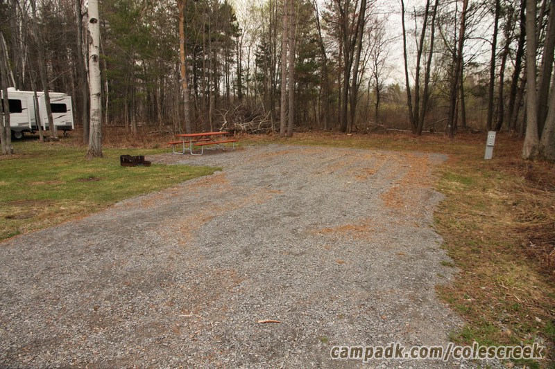 Campsite Photo of Site 246 at Coles Creek State Park, New York - Looking at Site from Road Sign Visible