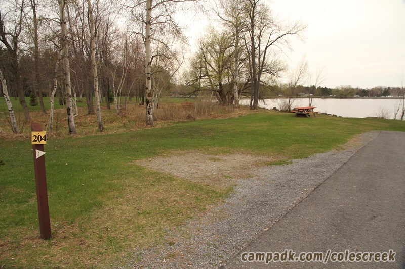 Campsite Photo of Site 204 at Coles Creek State Park, New York - Looking at Site from Road Sign Visible