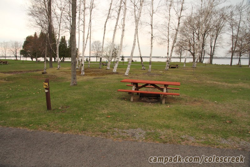Campsite Photo of Site 165 at Coles Creek State Park, New York - Looking at Site from Road Sign Visible