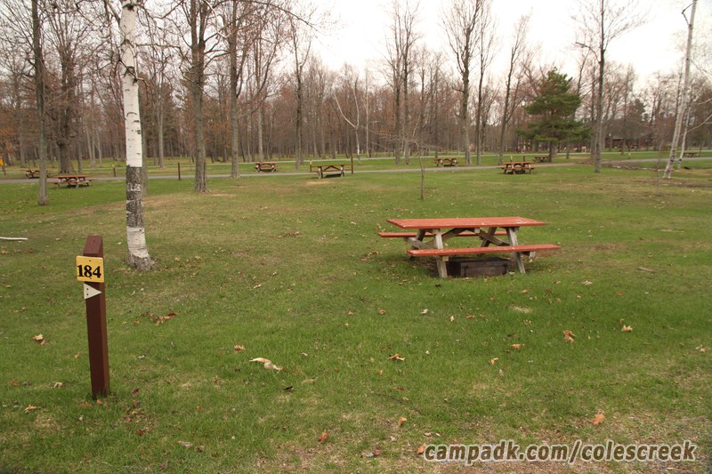 Campsite Photo of Site 184 at Coles Creek State Park, New York - Looking at Site from Road Sign Visible