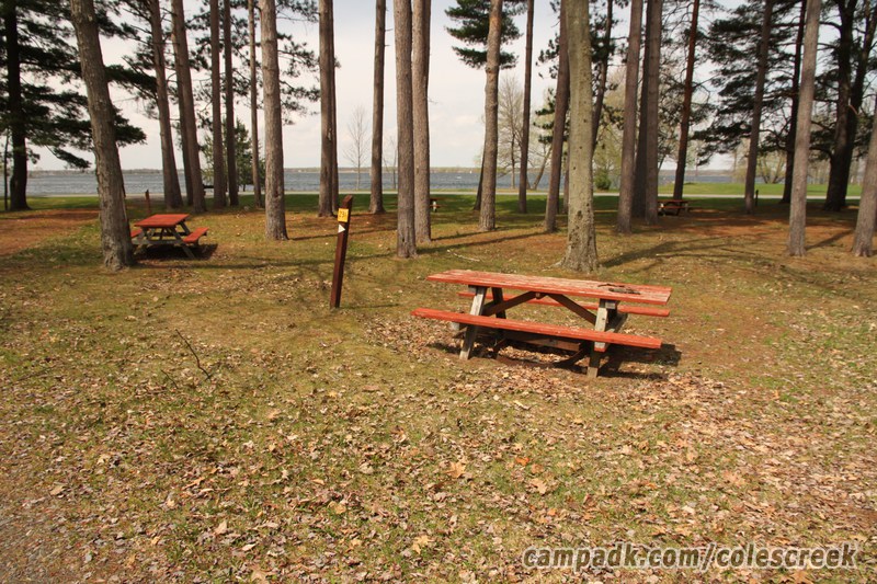 Campsite Photo of Site 231 at Coles Creek State Park, New York - Looking at Site from Road Sign Visible