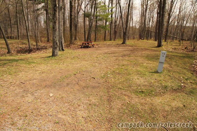 Campsite Photo of Site 10 at Coles Creek State Park, New York - Looking at Site from Road Sign Visible
